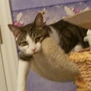 Meet your Posher, Jillian